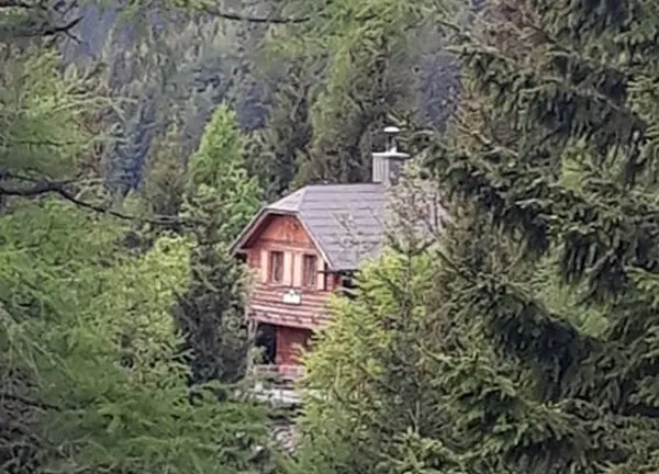 Die Peilsteinerhütte im Wald