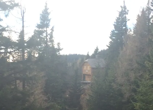 Die Hütte zwischen den Bäumen